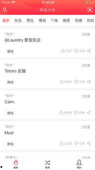 吃瓜娱乐网名大全,趣味横生,笑料百出