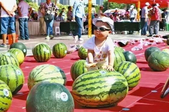 有什么吃瓜网站,一网打尽娱乐圈最新动态