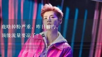 娱乐吃瓜 小故事视频大全,娱乐吃瓜小故事视频集锦