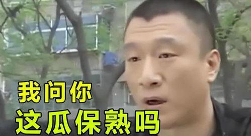 吃瓜娱乐圈陶虹,娱乐圈的瓜田瓜语,揭秘明星背后的故事